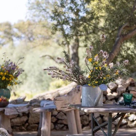 Magnifique Bergerie Passione Vue Panoramique Et Maquis Prázdninový dům Cargèse