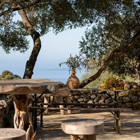 Magnifique Bergerie Passione Vue Panoramique Et Maquis بيت للعطل *